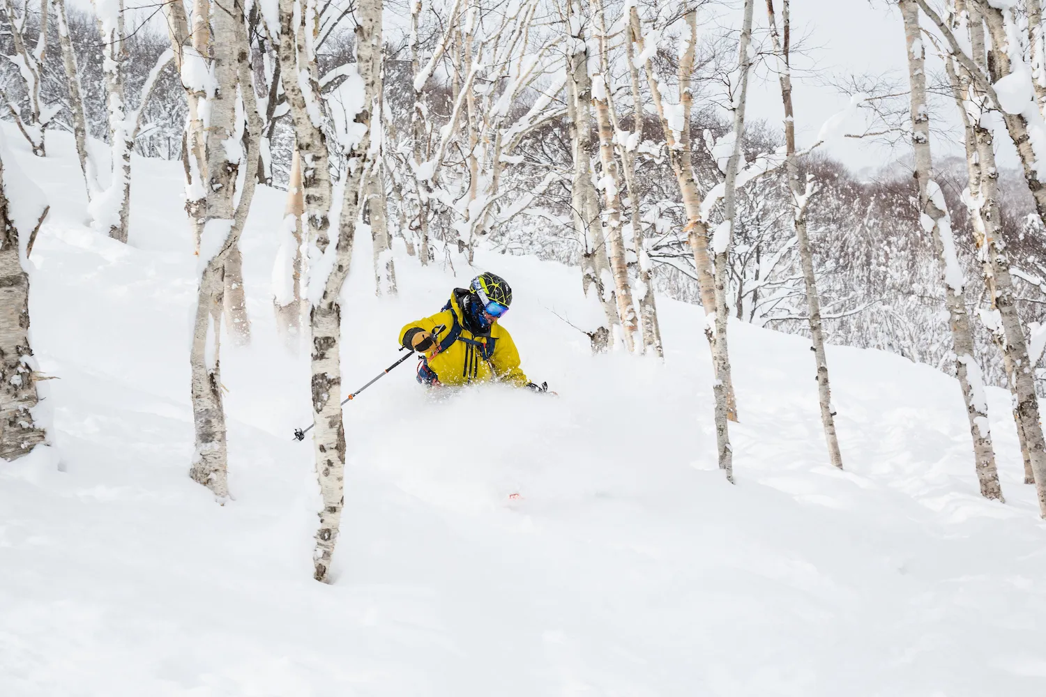 Marsia – Tagliacozzo in Italy - a person skiing down a snowy slope in the woods.