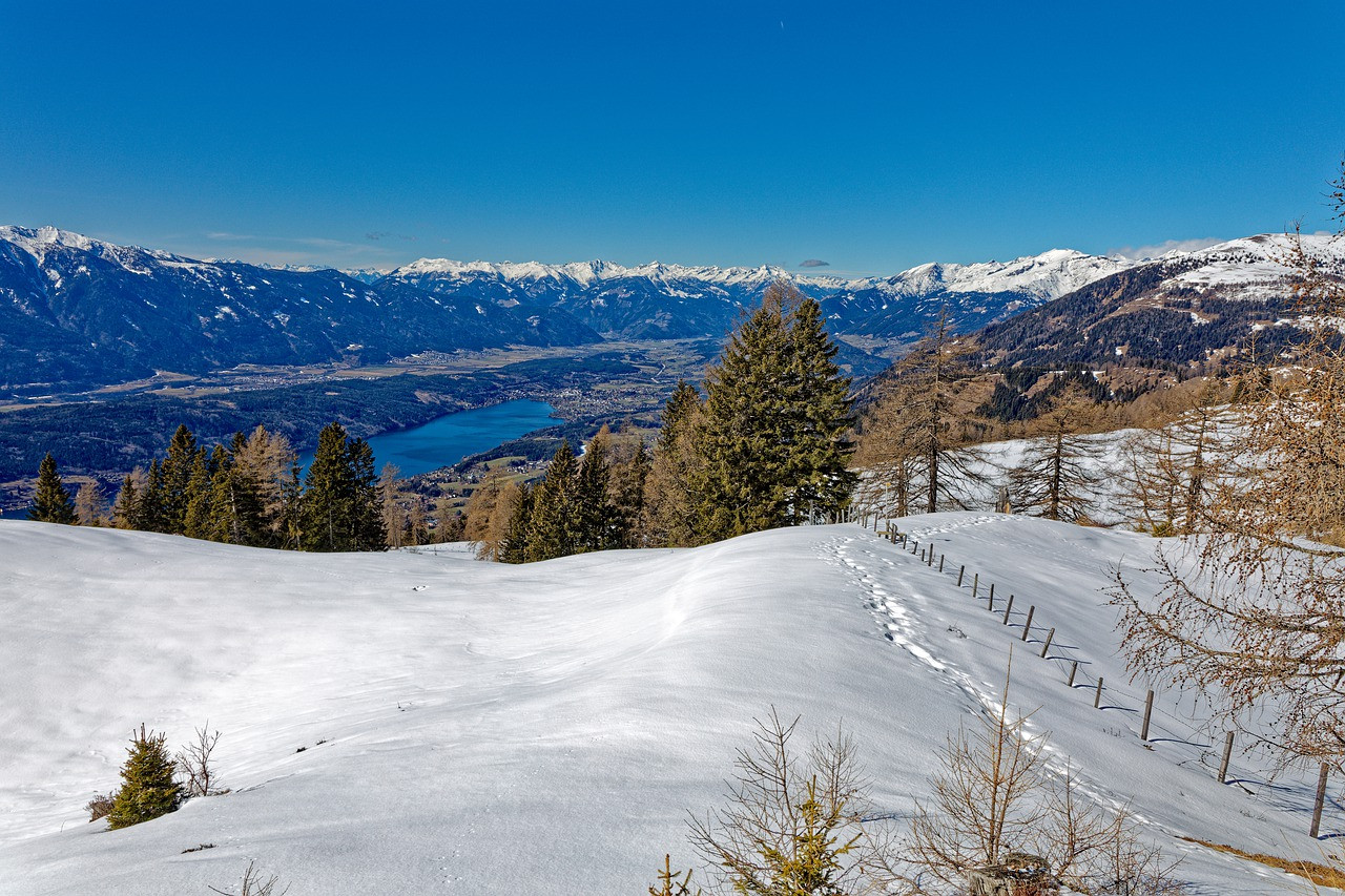 Hohenbogenbahn in Germany - a view from the top of a snowy mountain.