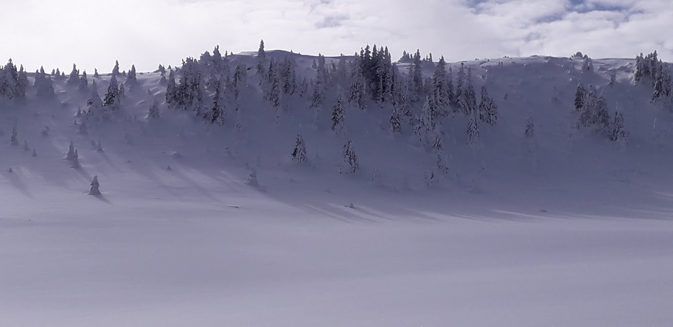 Radusa in Bosnia and Herzegovina - a person skiing down a snow covered mountain.