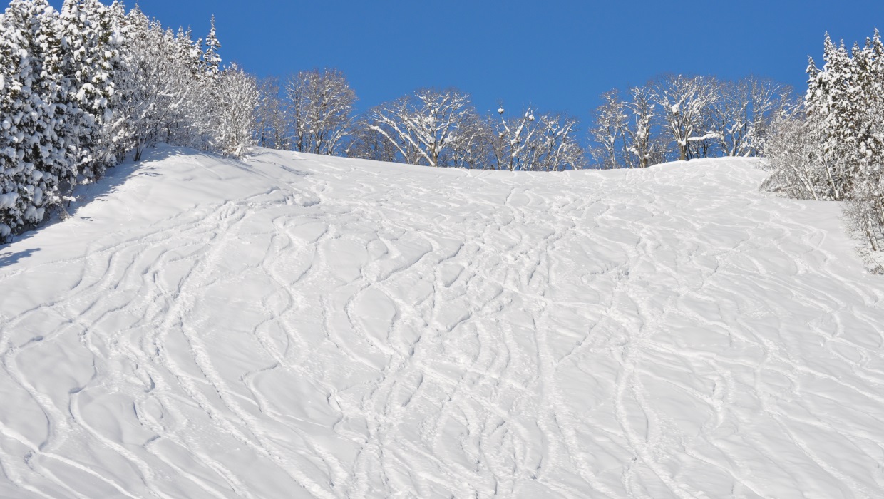Asahi Shizen in Japan - a snow covered slope with trees in the background.