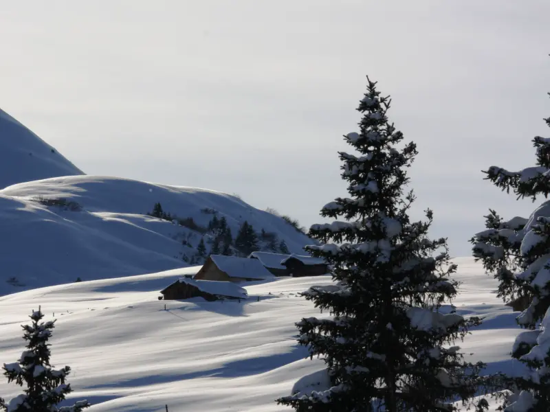 Cordon in France - a snow covered mountain with trees in the fore.
