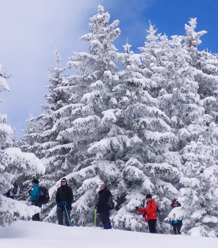 Cordon in France - a group of people skiing down a snow covered slope.