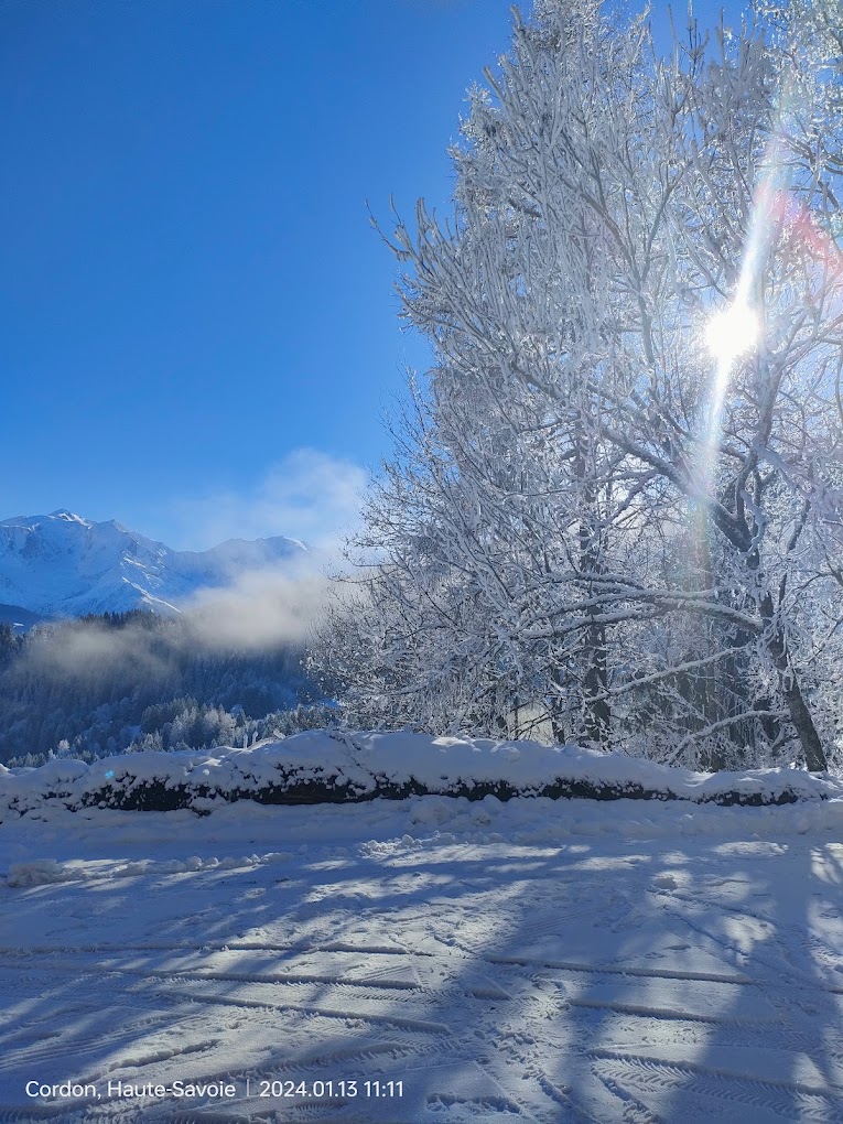 Cordon in France - the sun shines through the snow covered trees in the mountains.