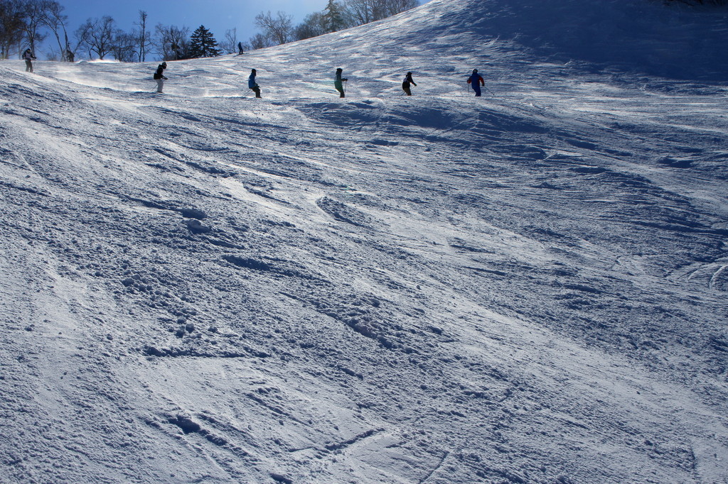 Shiga Kogen Terakoya in Japan - a group of people riding down a snow covered slope.