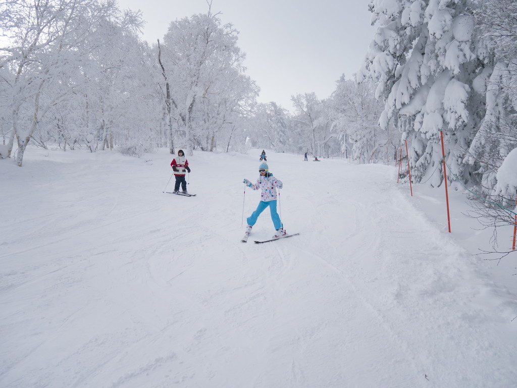 Shiga Kogen Terakoya in Japan - a couple of people skiing down a snow covered hill.
