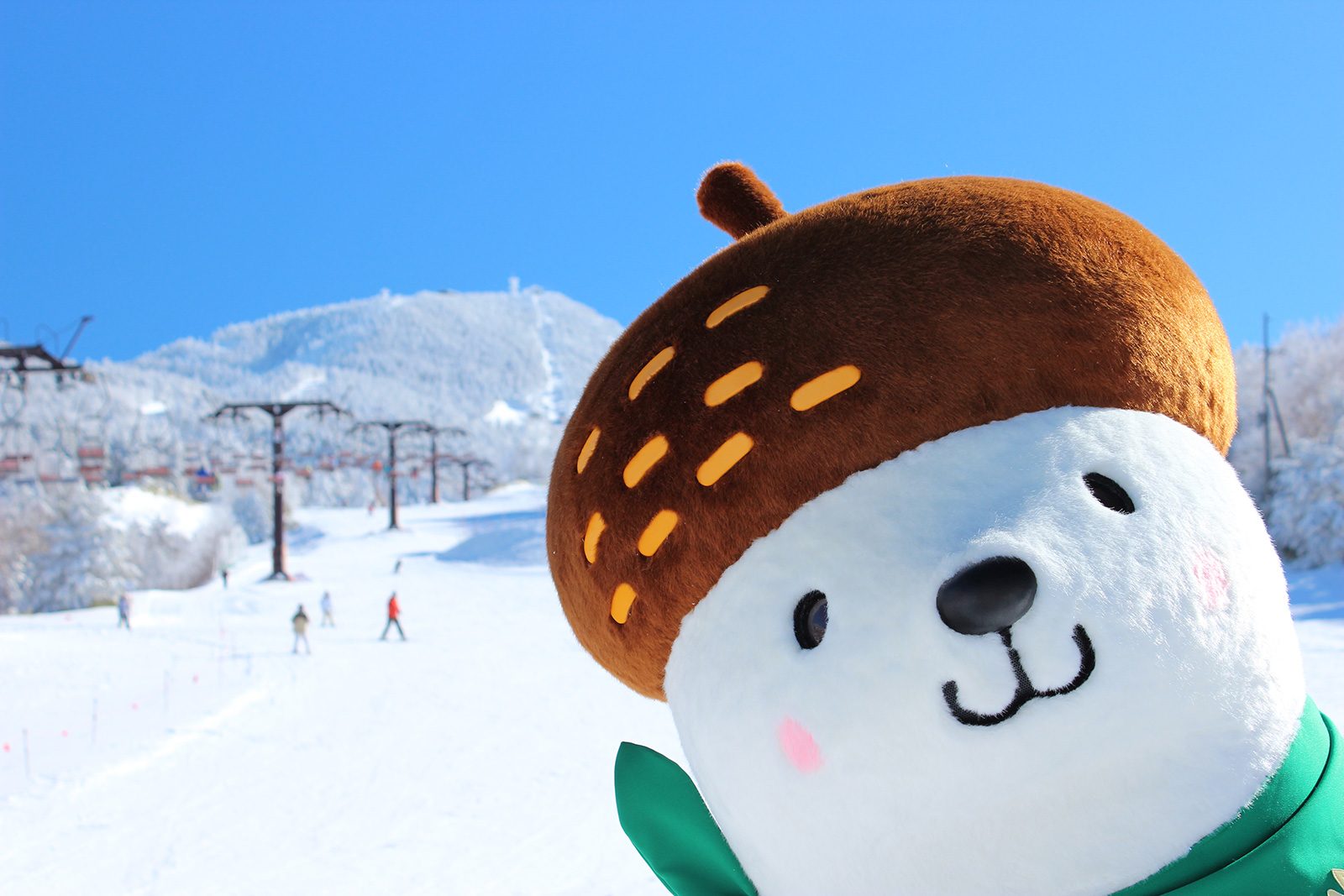Shiga Kogen Terakoya in Japan - a stuffed bear wearing a green scarf on a ski slope.