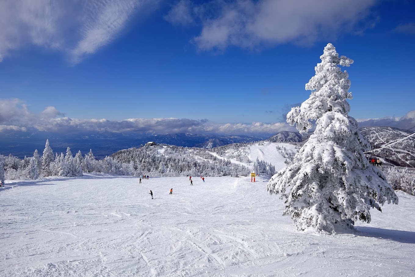 Shiga Kogen Terakoya in Japan - a snow covered tree on top of a mountain.