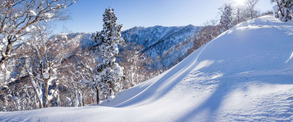 Shiga Kogen Terakoya in Japan - a snow covered mountain with trees in the background.