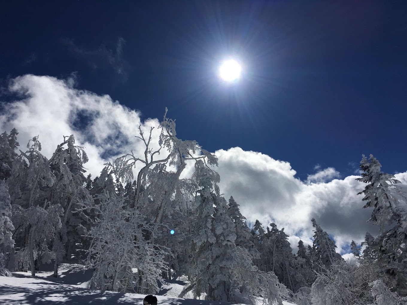 Shiga Kogen Terakoya in Japan - the sun is shining over some trees in the snow.
