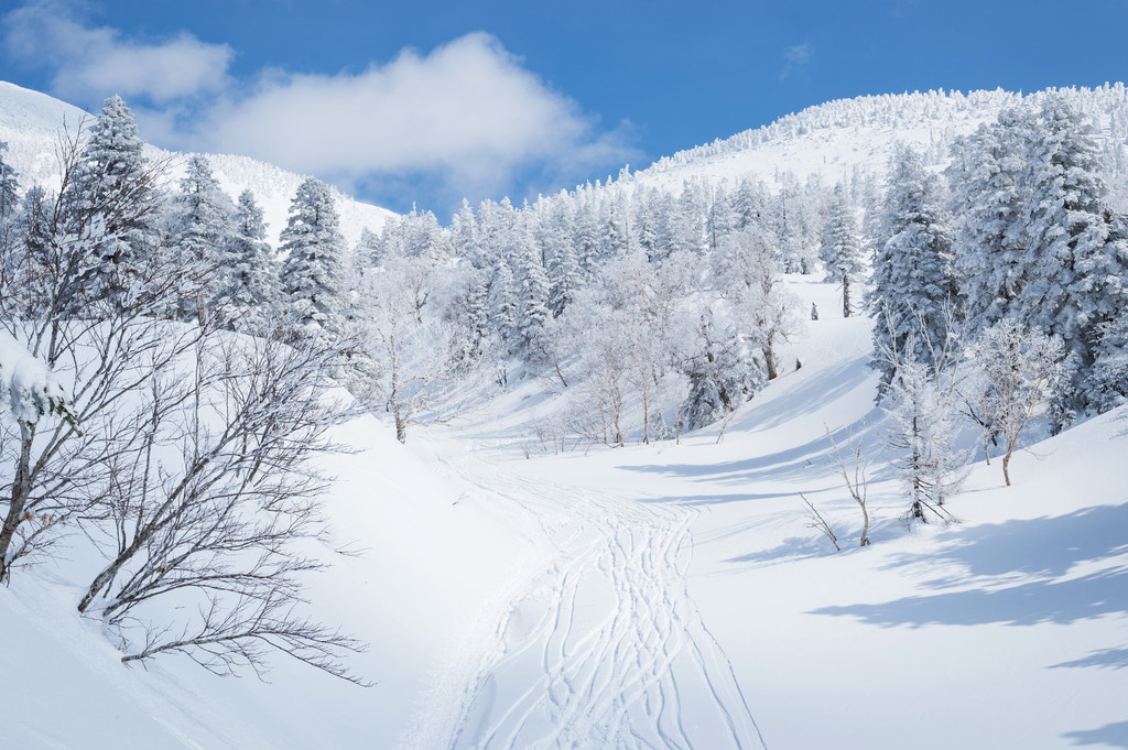Shiga Kogen Terakoya in Japan - tracks in the snow.