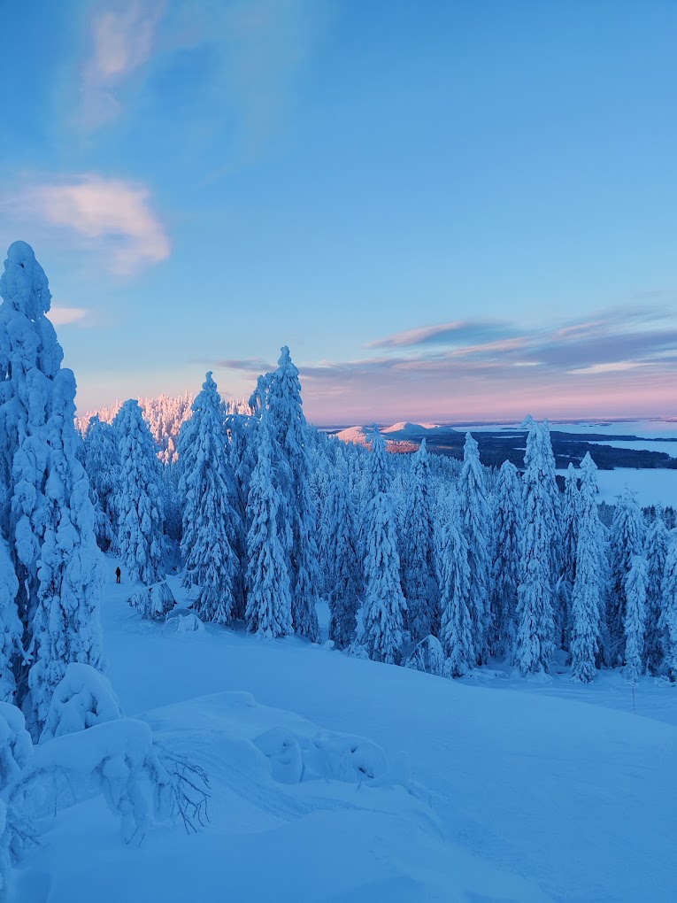 Koli Ski - Ukko-Kolin rinteet in Finland - snow covered trees in the mountains at sunset.