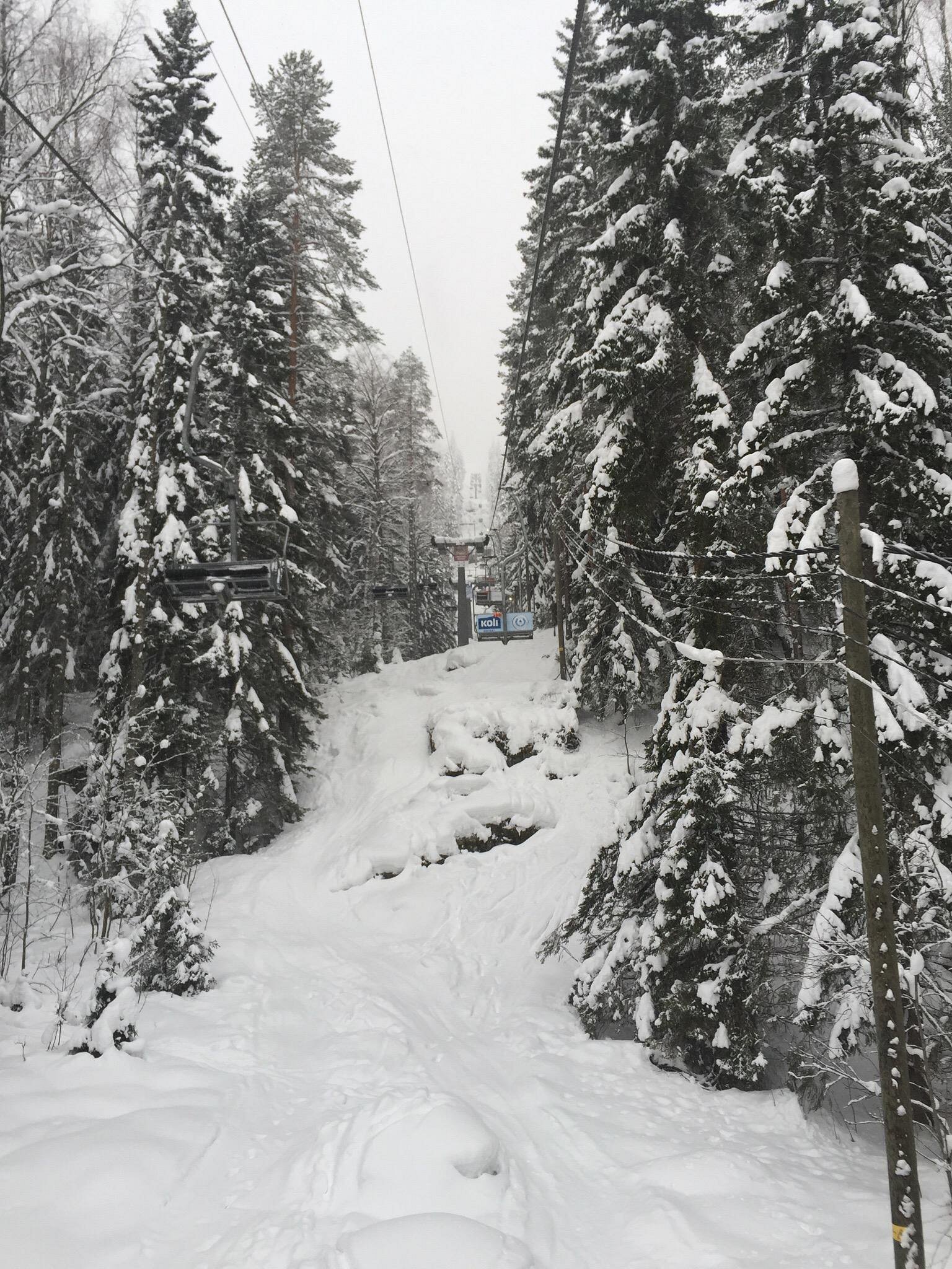 Koli Ski - Ukko-Kolin rinteet in Finland - a ski lift going through a snowy forest.