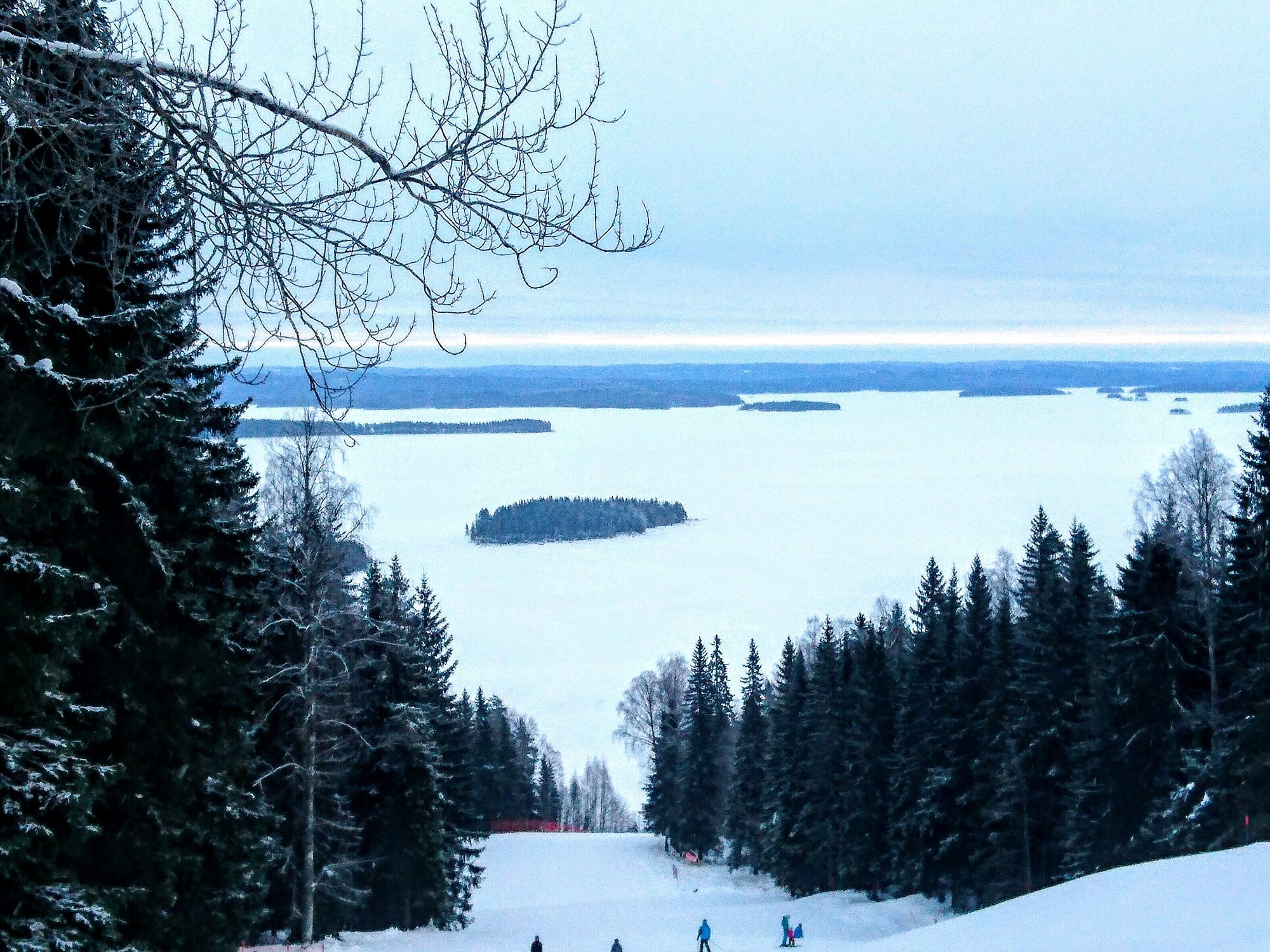 Koli Ski - Ukko-Kolin rinteet in Finland - a group of people skiing down a snowy slope.