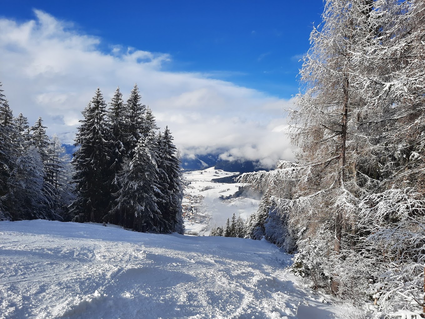 Schwabenbergarena Turnauer Schilift in Austria - a snow covered mountain with trees in the fore.