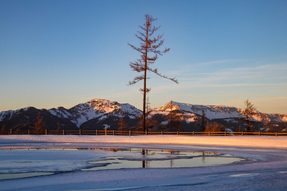 Schwabenbergarena Turnauer Schilift in Austria - a tree in the middle of a field with mountains in the background.