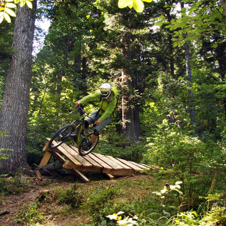 Col de l'Arzelier in France - a man riding a bike through a forest.