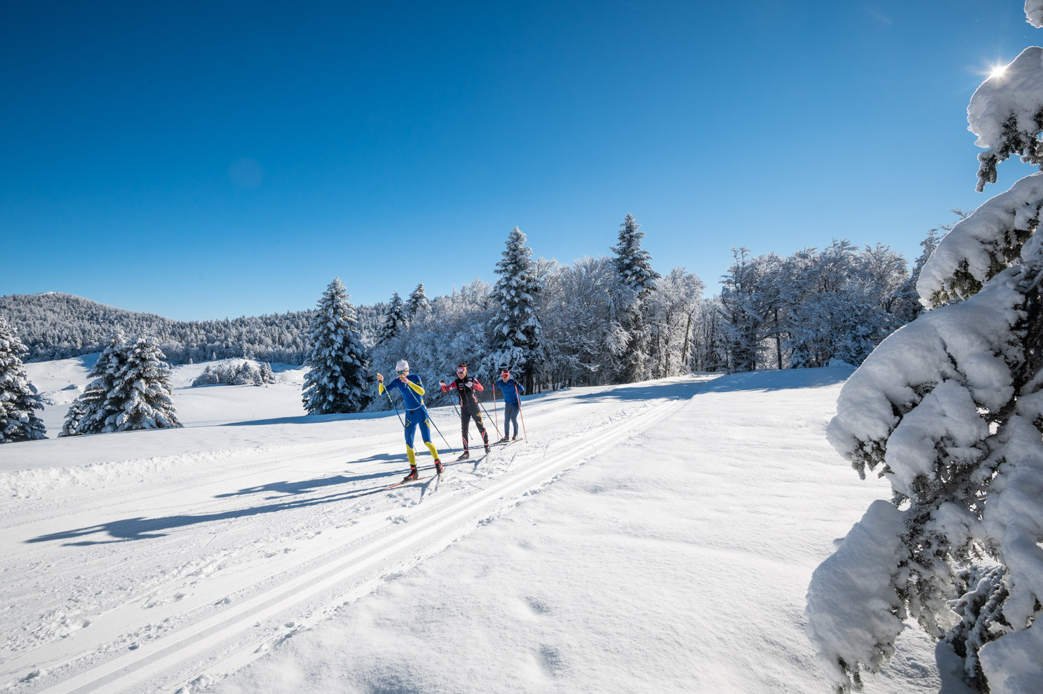 Font d'Urle in France - a group of people skiing down a snowy slope.