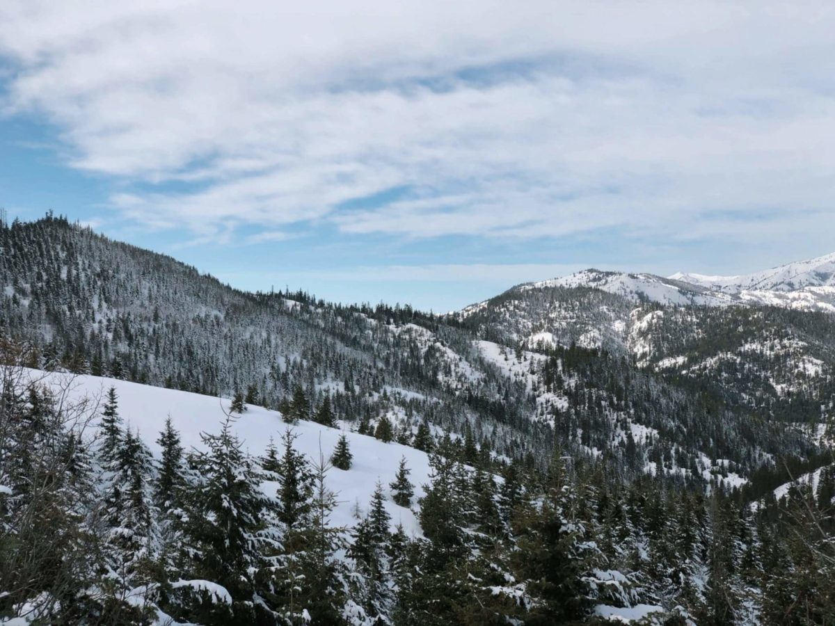 Mission Ridge in Canada - a snow covered mountain with trees and mountains in the background.