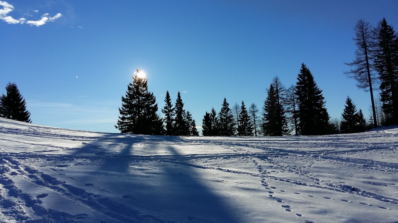 Španov vrh in Slovenia - the sun shining through the trees in the snow.