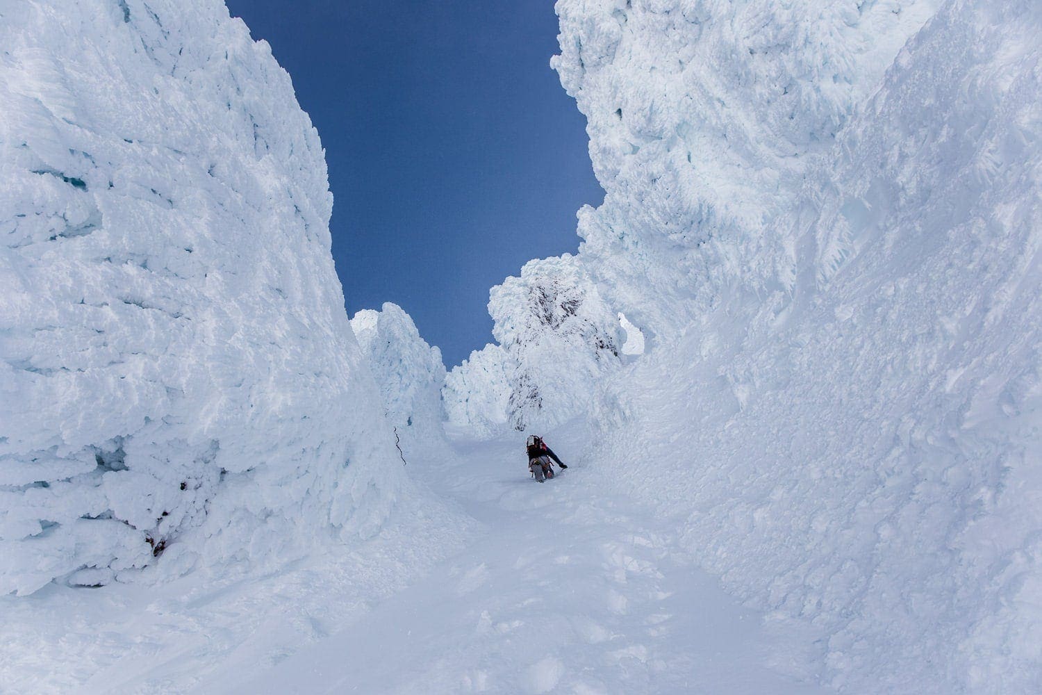 Mt. Jefferson in USA - a person on a snowboard going down a snowy slope.