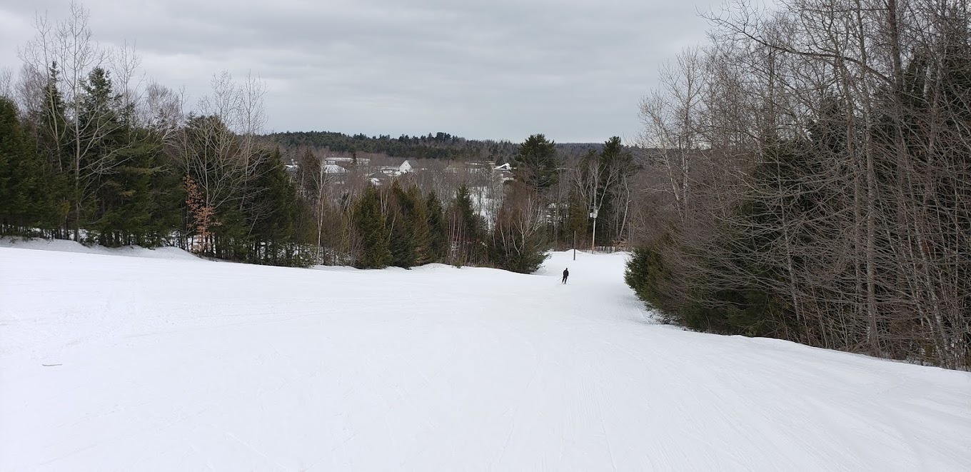 Mt. Jefferson in USA - a snow covered ski slope with trees in the background.