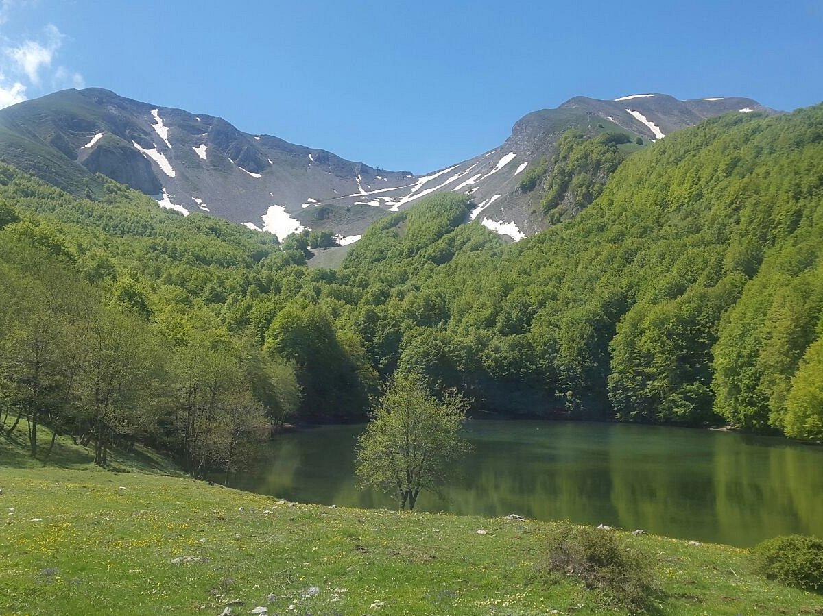 Monte Sirino -Conserva in Italy - a small lake in the middle of a forest.