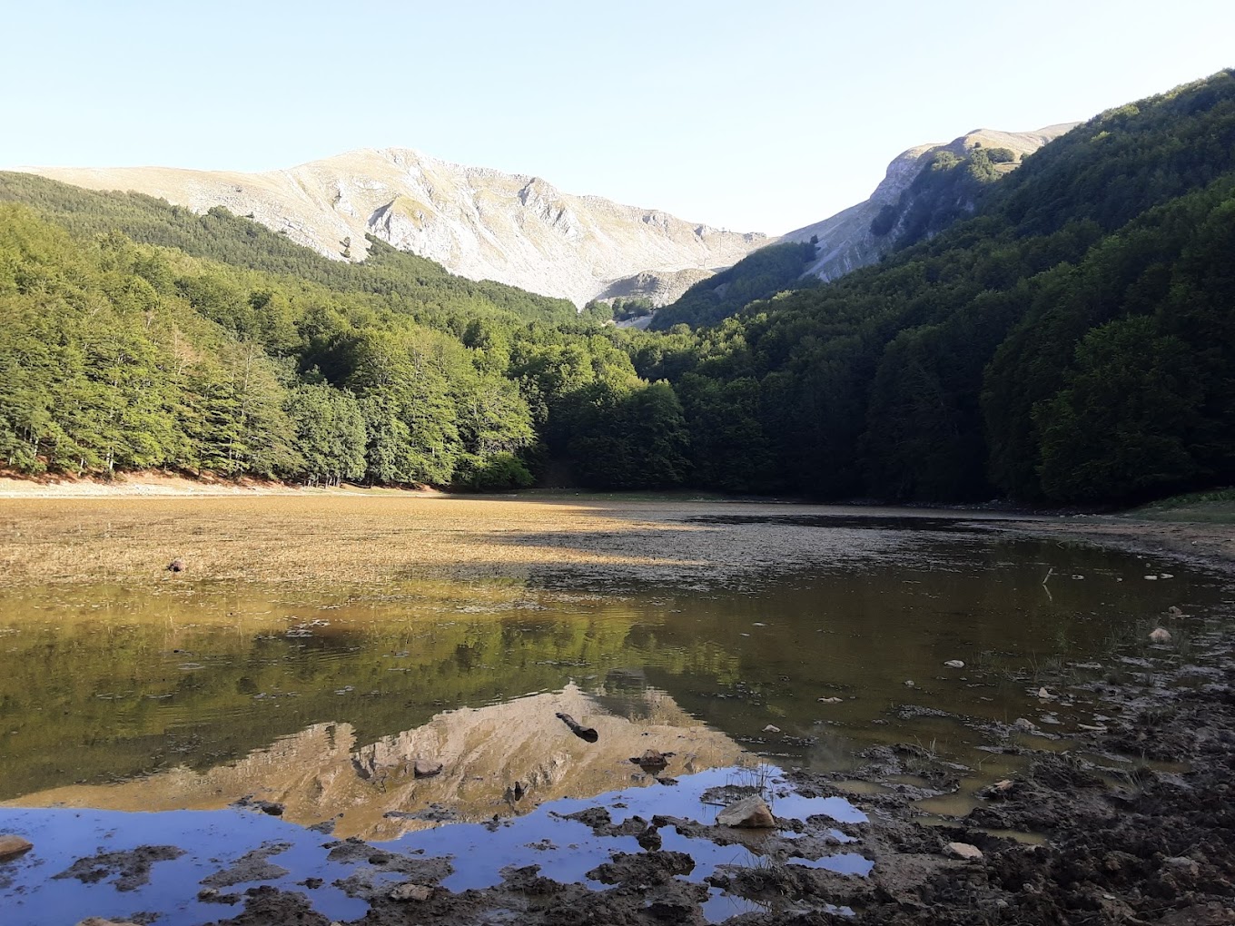 Monte Sirino -Conserva in Italy - a river in the middle of a forest with mountains in the background.