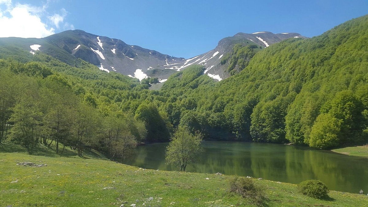 Monte Sirino -Conserva in Italy - a small lake in the middle of a forest.