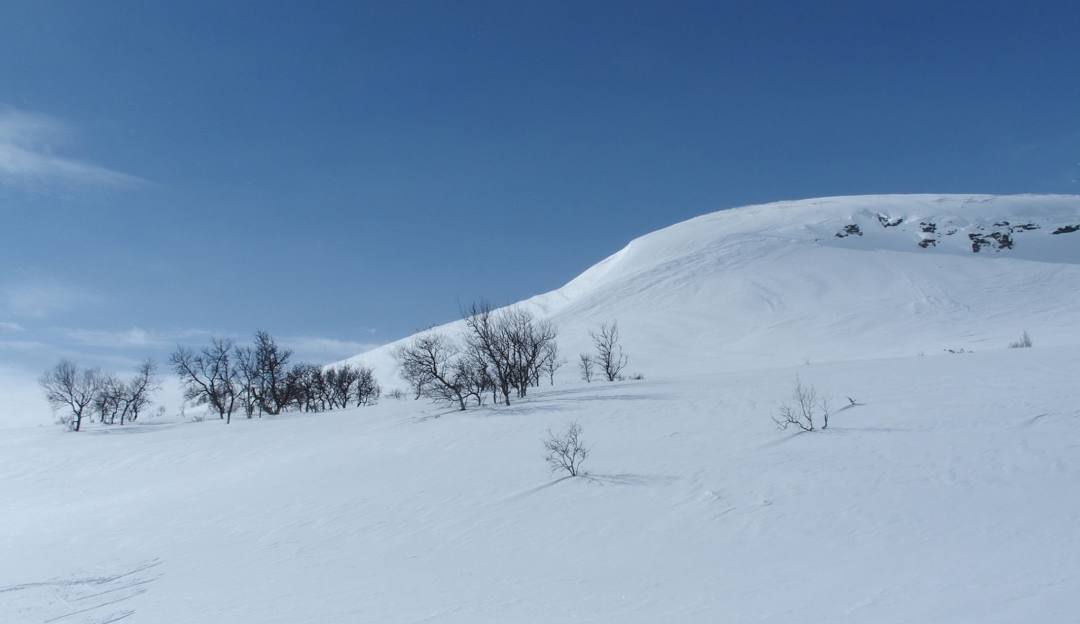 Nordic Mountain in USA - a snow covered mountain with trees in the background.