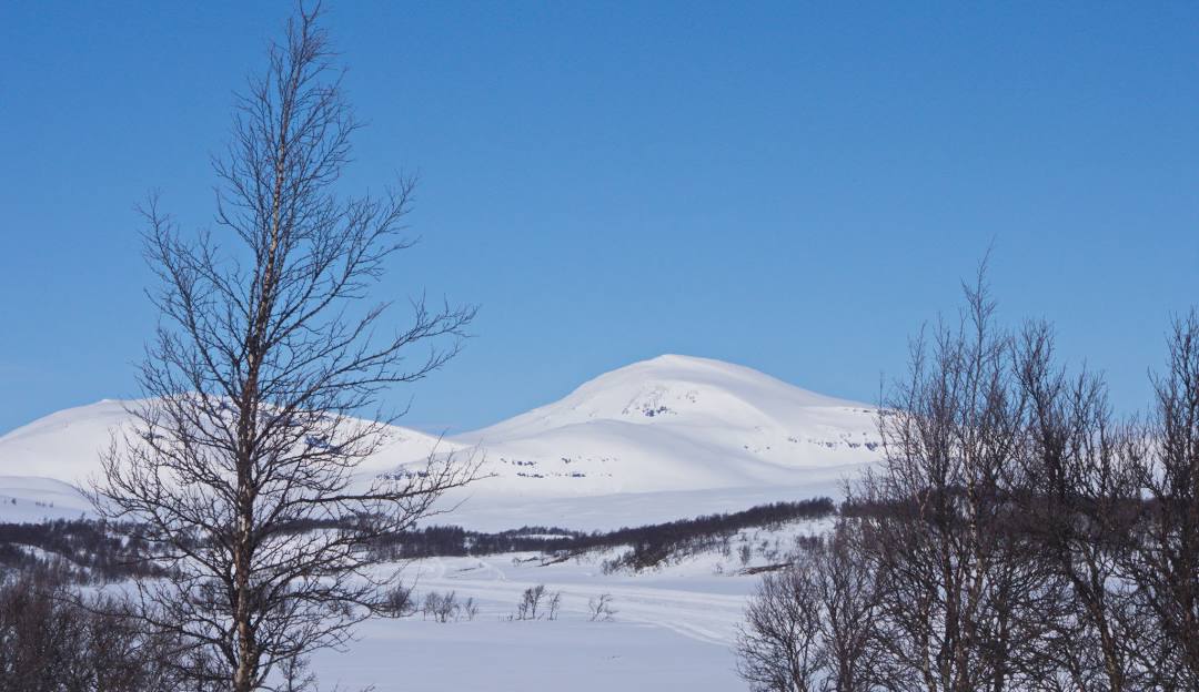Nordic Mountain in USA - a snowy landscape with trees and mountains in the background.