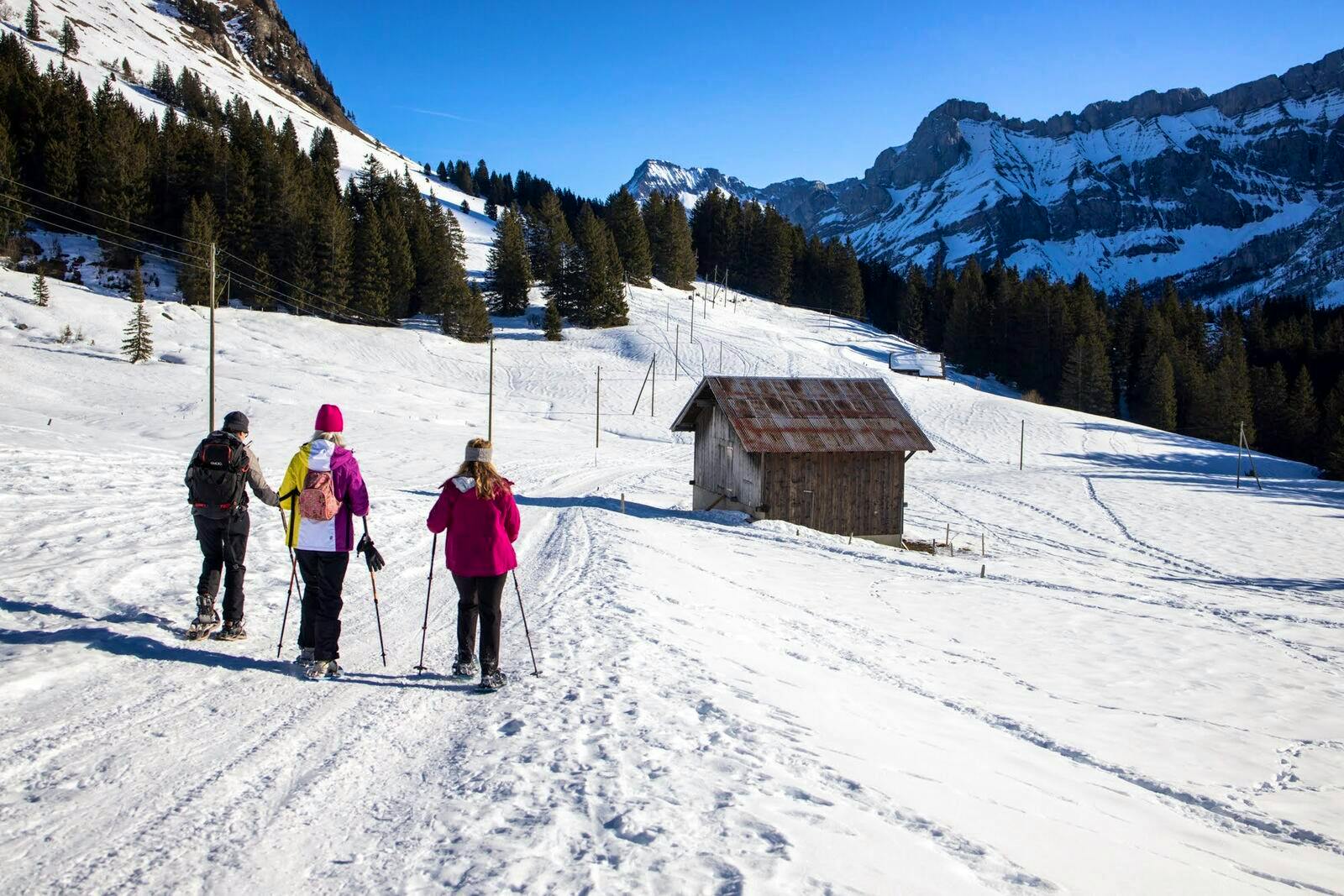 Lac de Joux in Switzerland - two people are skiing down a snowy slope.