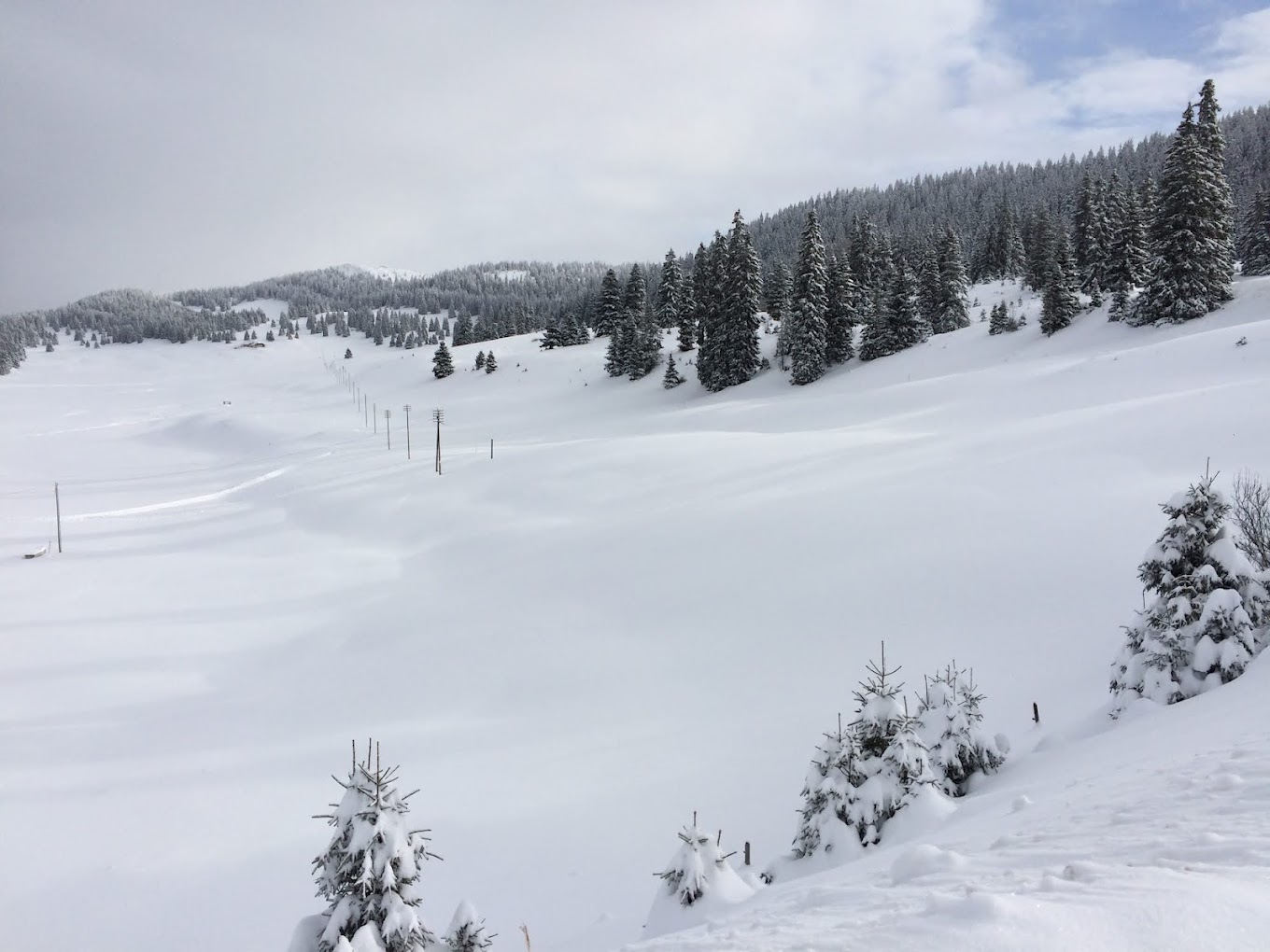 Lac de Joux in Switzerland - a snow covered ski slope with trees in the background.
