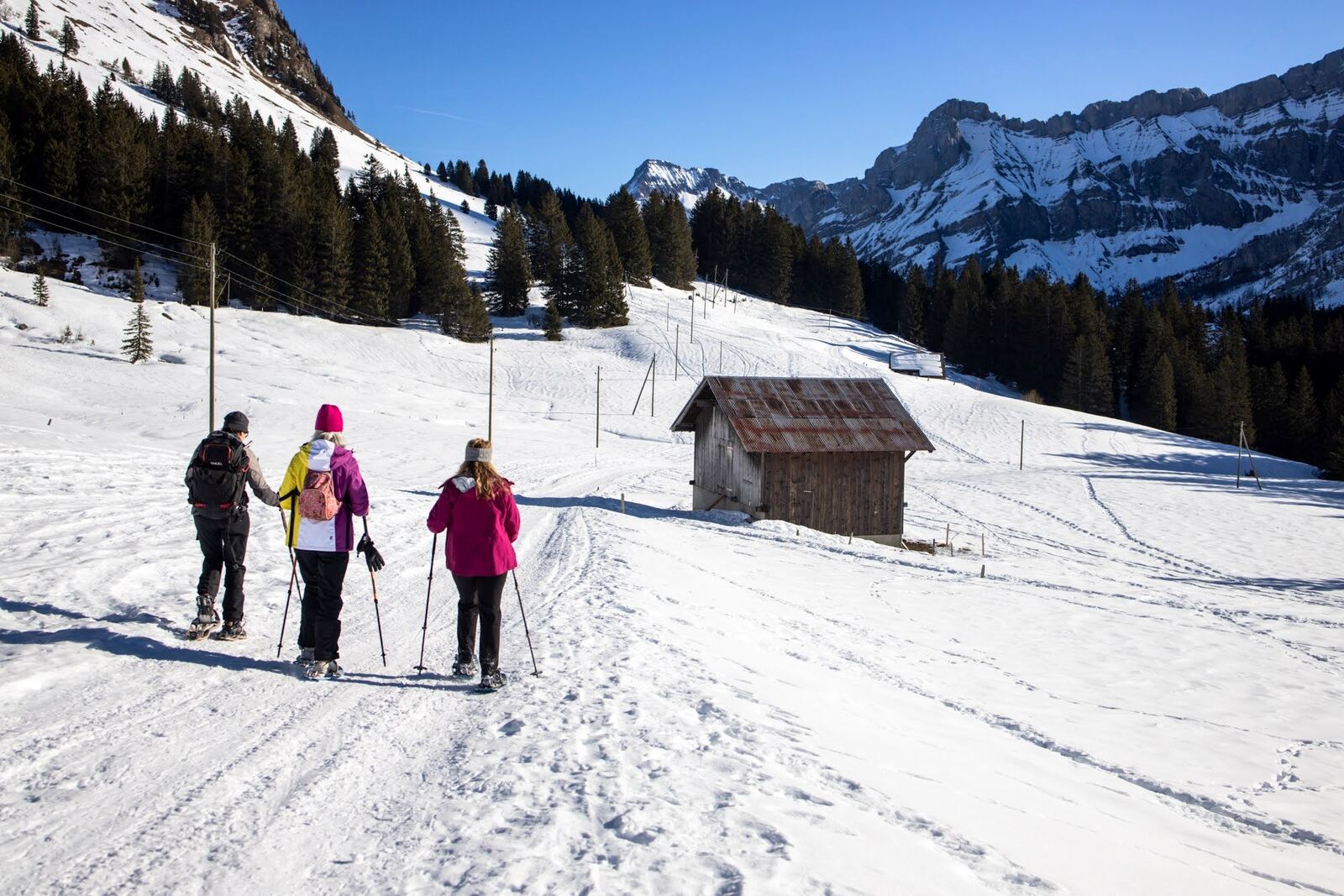 Lac de Joux in Switzerland - two people are skiing down a snowy hill.