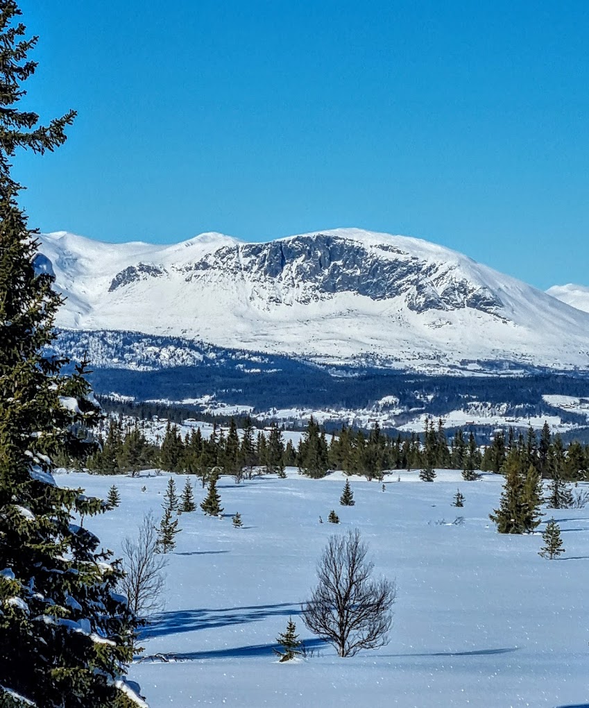 Skagahøgdi in Norway - a snow covered field with mountains in the background.
