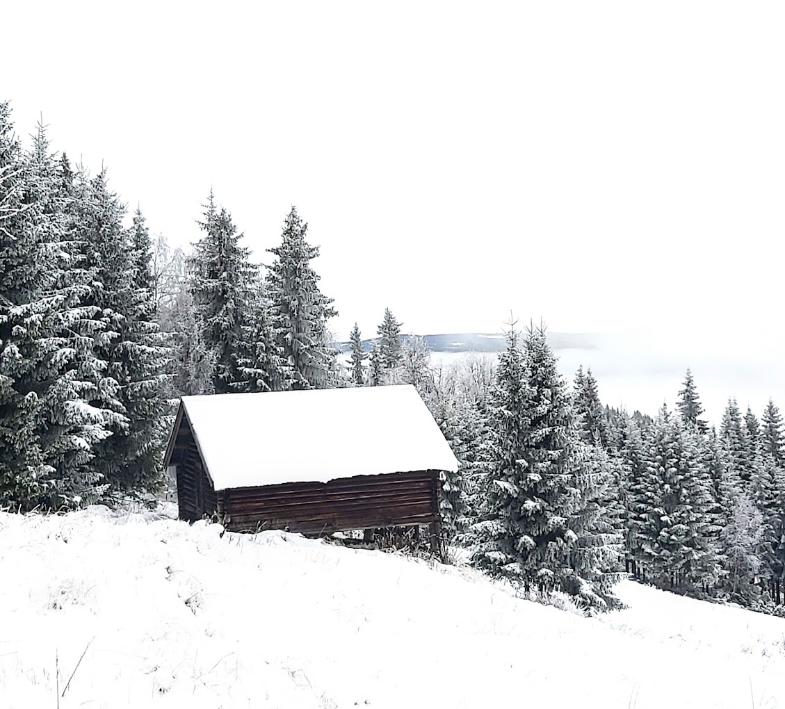 Skagahøgdi in Norway - a cabin in the middle of a snowy forest.