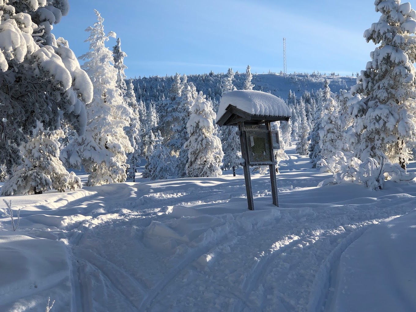 Näsfjället in Sweden - a sign in the middle of a snowy forest.