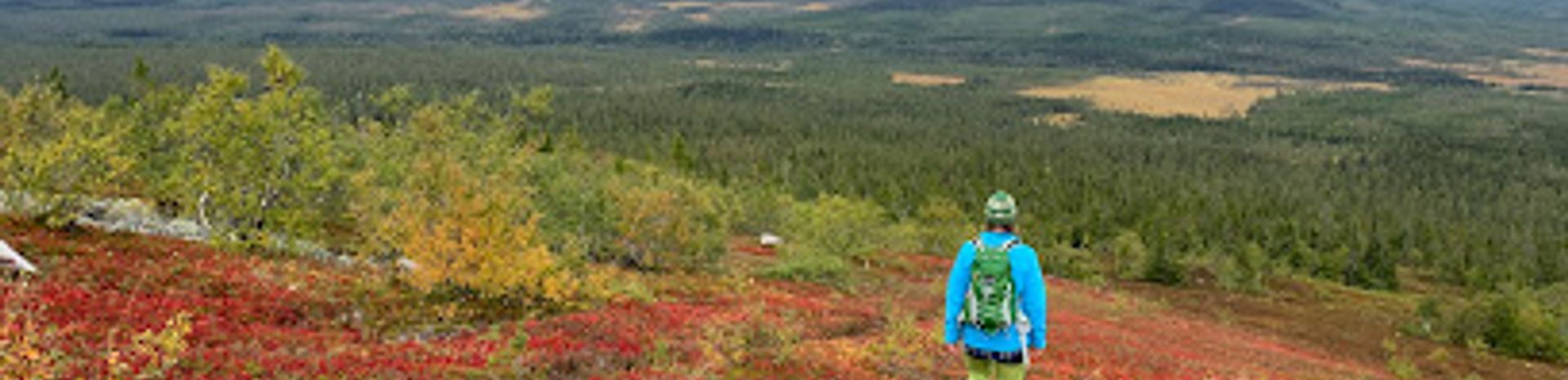 Näsfjället in Sweden - a person walking on a trail with mountains in the background.