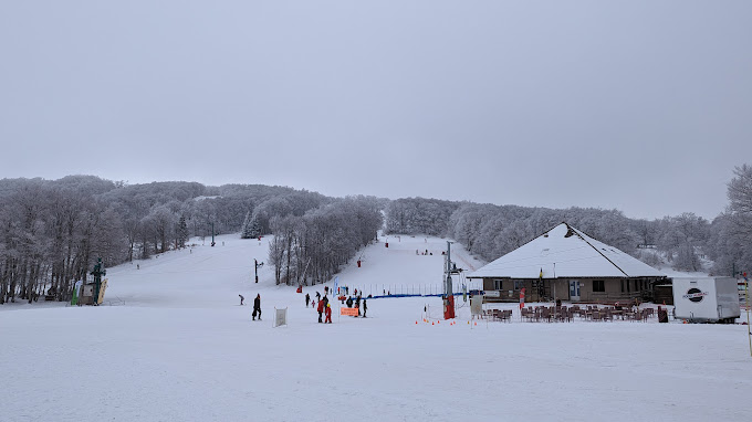Laguiole in France - a group of people skiing down a snowy hill.