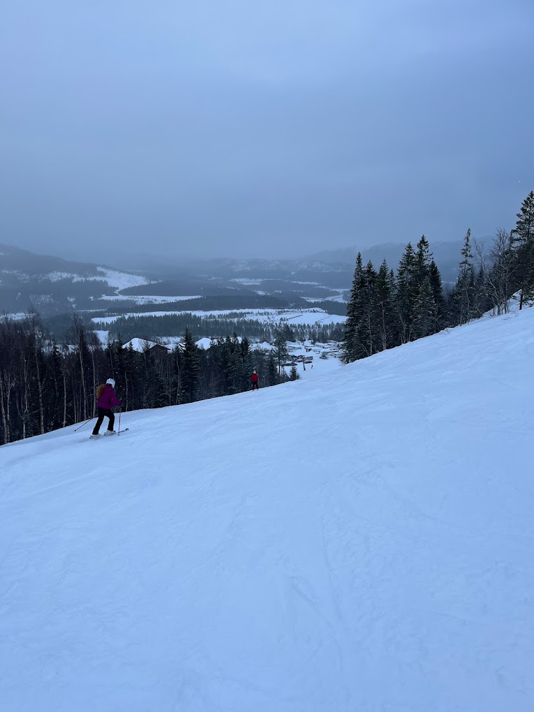 Grong in Norway - a person skiing down a snow covered hill.