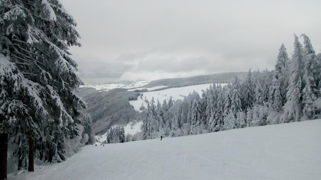 Münstertal-Wieden in Germany - the view from the top of the mountain.
