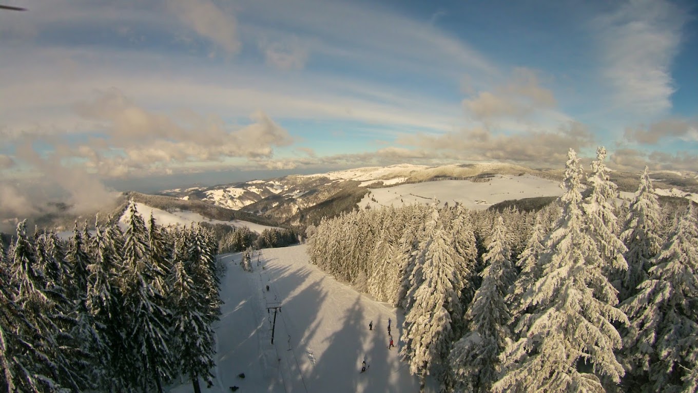Münstertal-Wieden in Germany - snow covered trees.