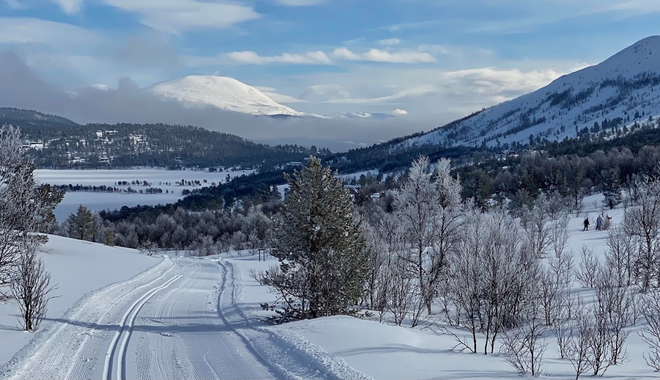 Lemonsjø Alpinsenter in Norway - a snowy road with trees and mountains in the background.