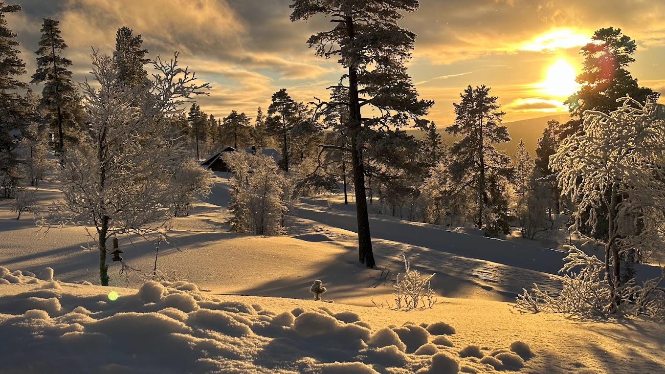 Fulufjellet in Norway - a snowy landscape with trees and snow covered ground.