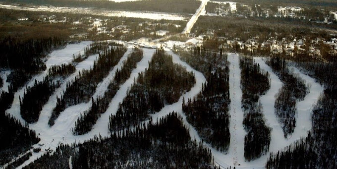Vista Ridge in Canada - an aerial view of a ski area with trees and snow.