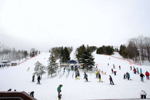 A bustling winter sports scene at Chicopee ski resort in Southern Ontario, Canada. Skiers on slopes, a ski lift in operation, and beautiful snow-clad surroundings.