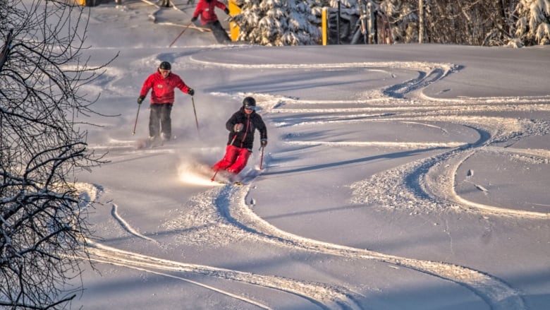 Chicopee in Canada - two people skiing down a slope in the snow.