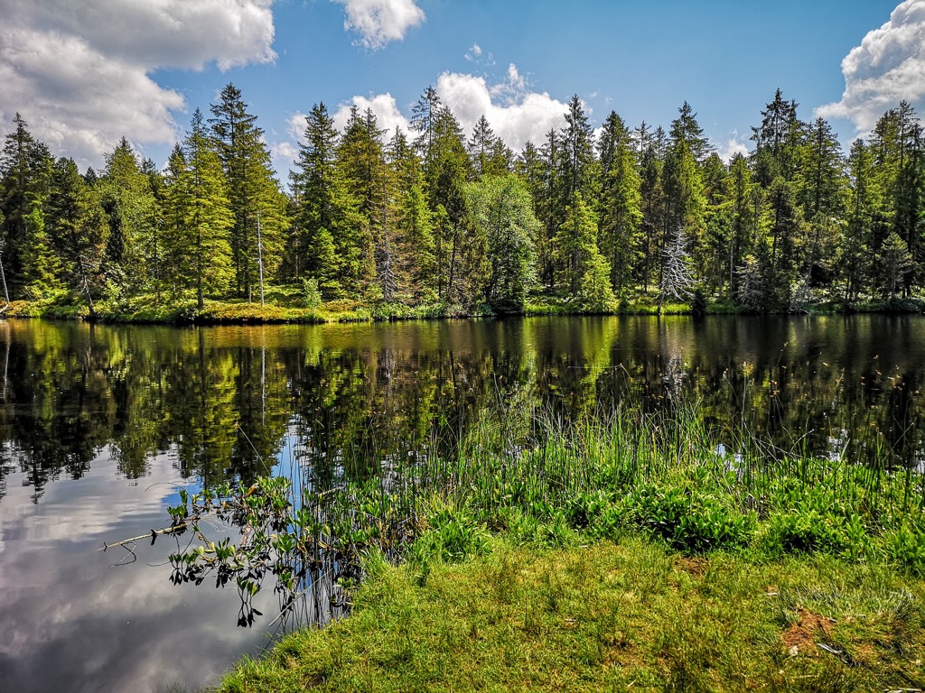 Dent de Vaulion – Le Morez in Switzerland - a lake surrounded by trees and grass.