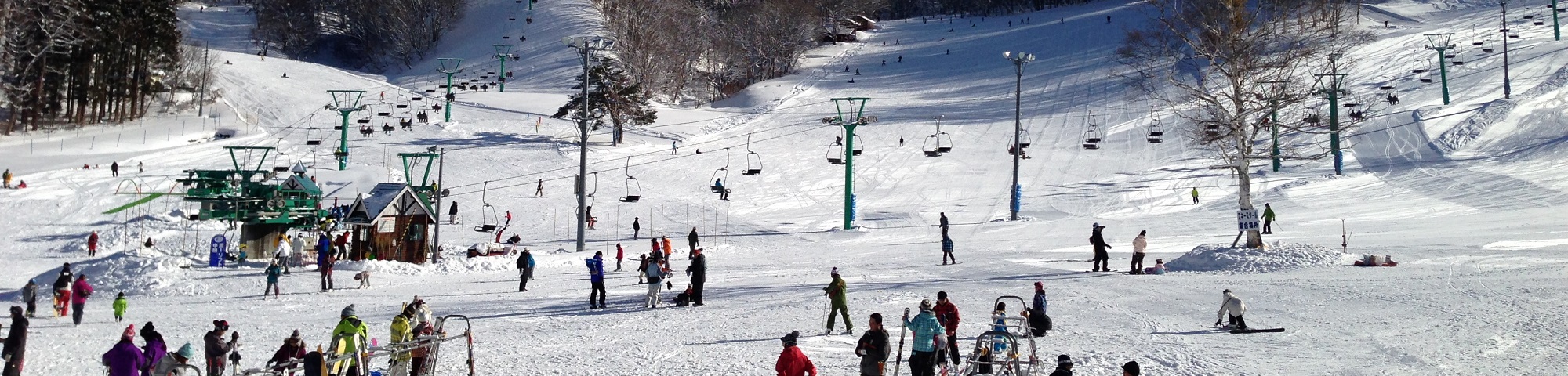 Minakami Kogen Fujiwara in Japan - a group of people skiing down a snowy slope.