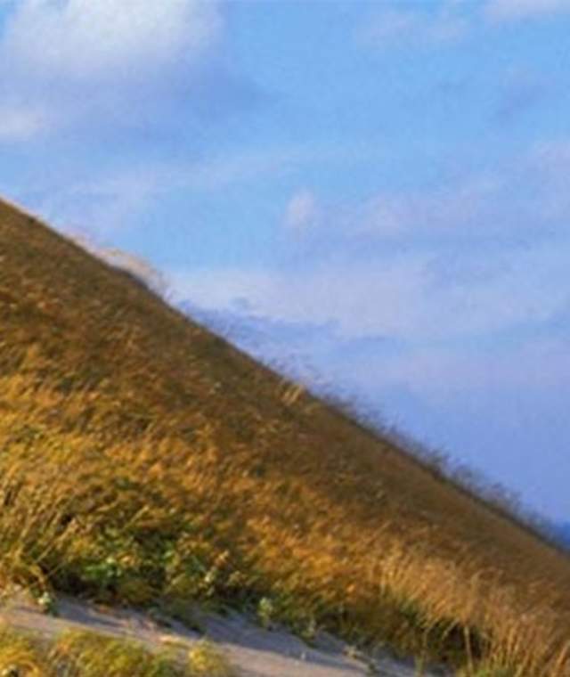 The Homestead Resort in USA - a man riding a bike down a hill.