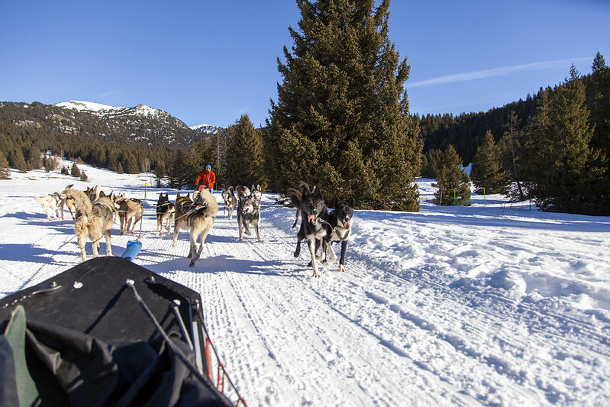 Saint Hilaire du Touvet in France - a group of dogs pulling a sler through the snow.